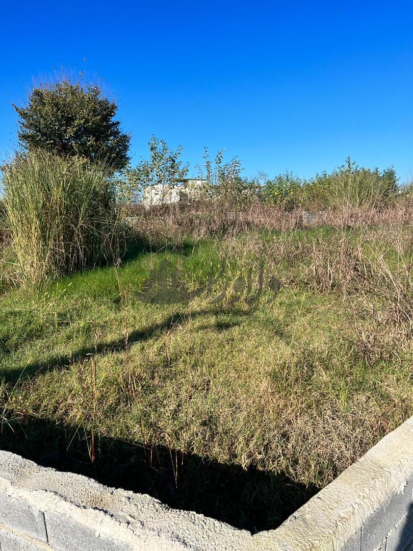 زمین در کوچه های گلستان زمین در کوچه های گلستان