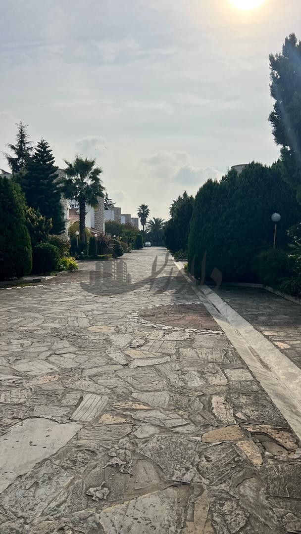 زمین جنب کشتی نارنجستان