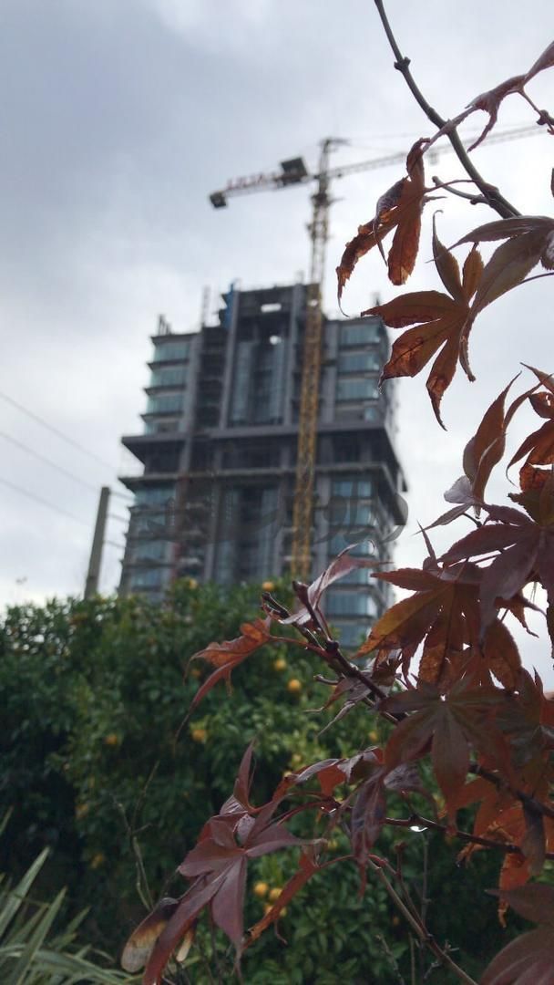 برج لیلیا رزیدنس در ایزدشهر