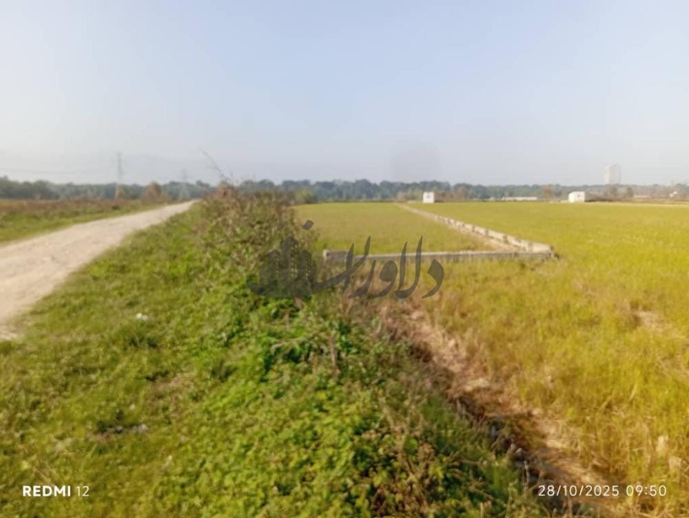 فروش زمین کشاورزی ۶/۵۰۰هزار متری در نور