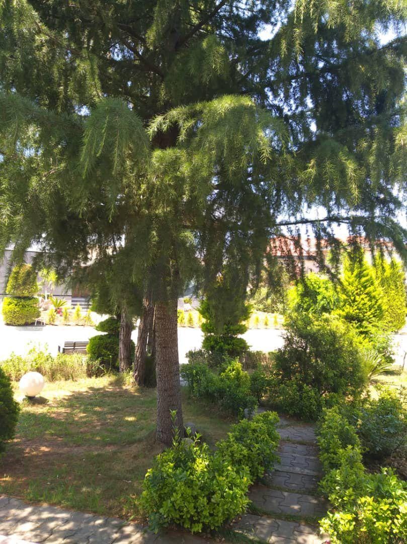 ویلای اصیل در شهرکی 8 هکتاری در وازیوار