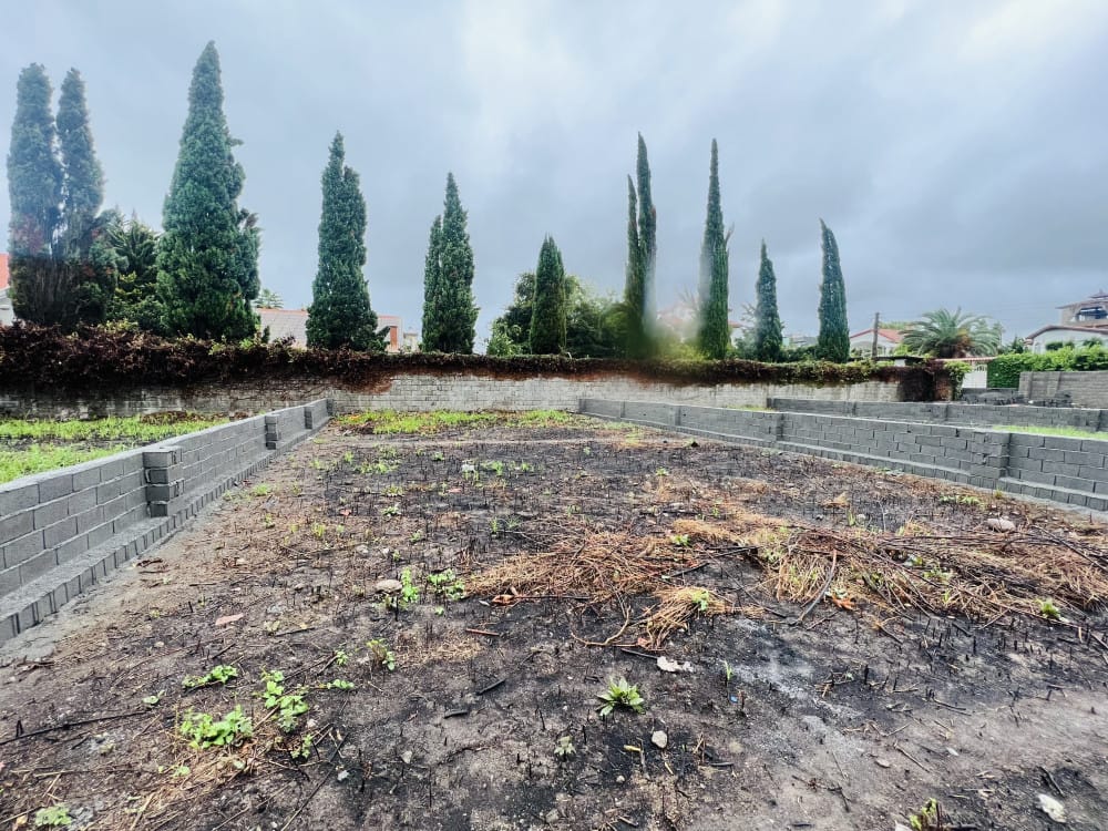 فروش زمین ۸۵۰متری در منطقه نور