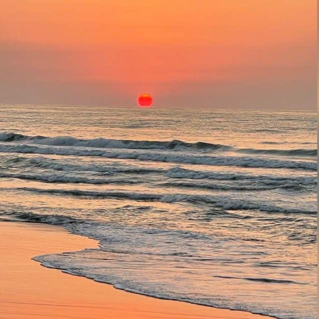 زمین ساحلی شهرک مارک ساحلی پژشکان