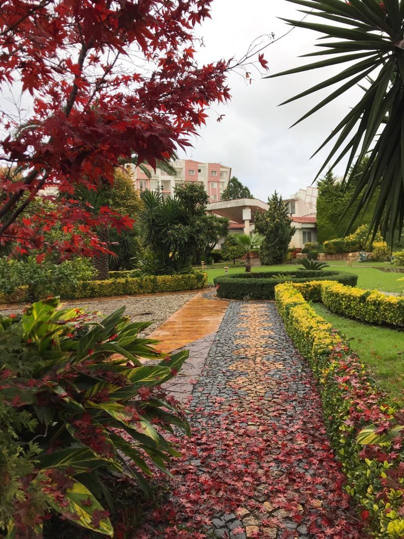 آپارتمان شهرک برند ساحلی