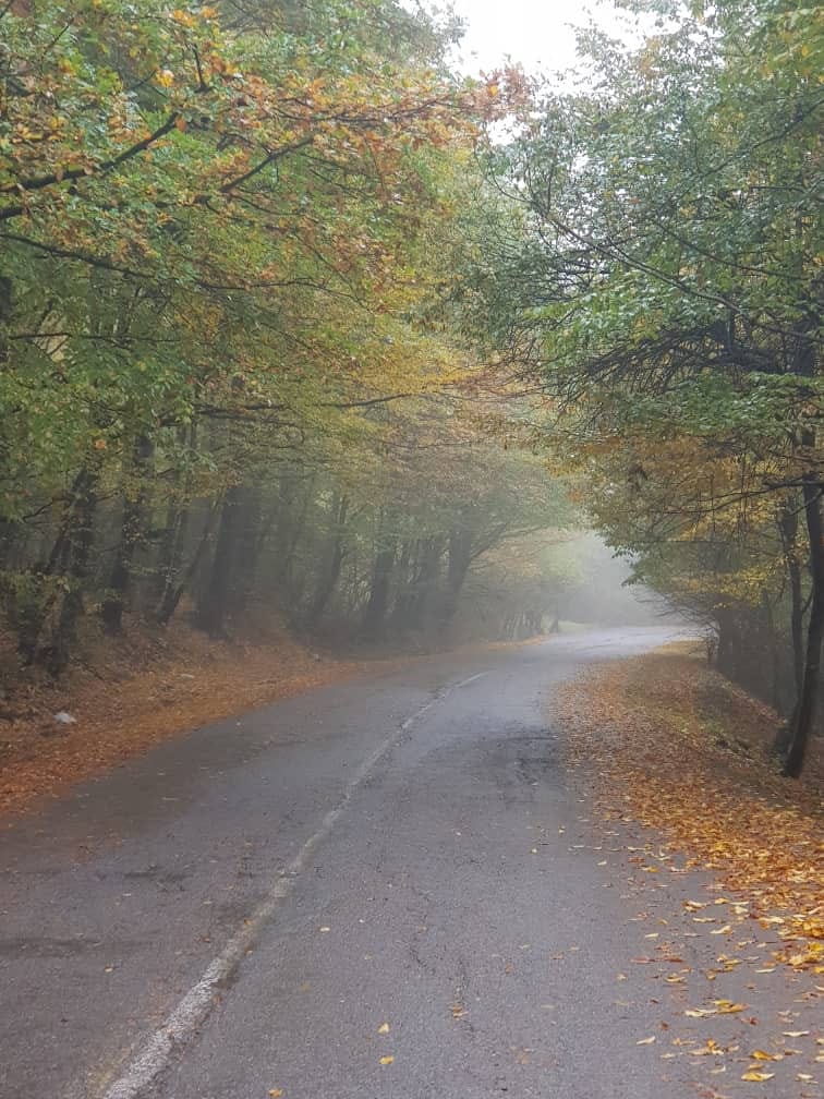 زمین جنگلی ییلاقی منطقه خوش اب و هوای اب پری