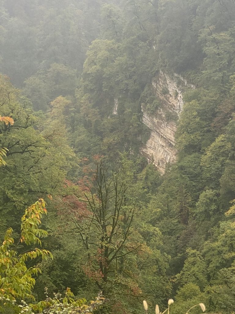 زمین جنگلی ییلاقی منطقه خوش اب و هوای اب پری