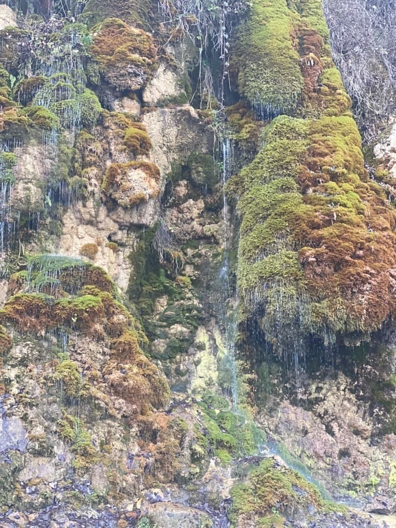 زمین جنگلی ییلاقی منطقه خوش اب و هوای اب پری