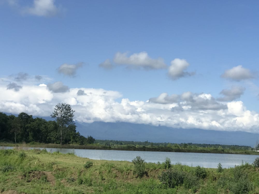 زمین کشاورزی