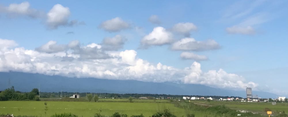 زمین کشاورزی