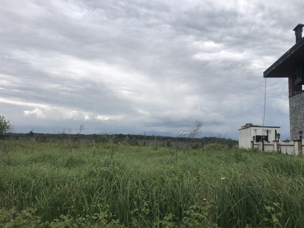 زمین جنگلی ایزدشهر