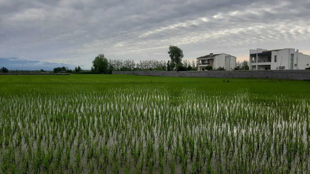 فروش زمینهای الحاق به بافت جهت سرمایه گذاری