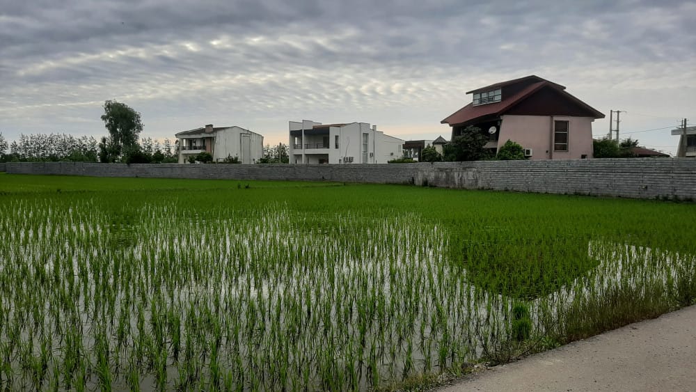 فروش زمینهای الحاق به بافت جهت سرمایه گذاری