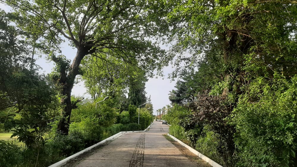 فروش زمین مسکونی (آپارتمانسازی)