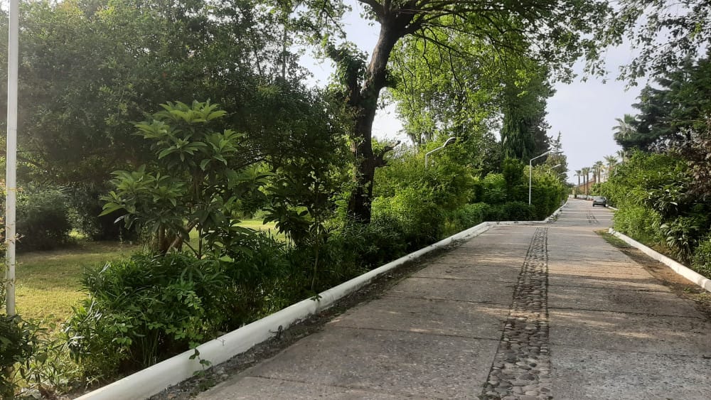 فروش زمین مسکونی (آپارتمانسازی)