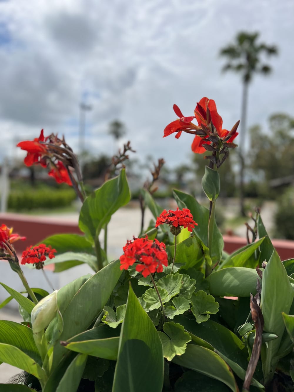 فروش یک هکتار زمین در منطقه ایزدشهر