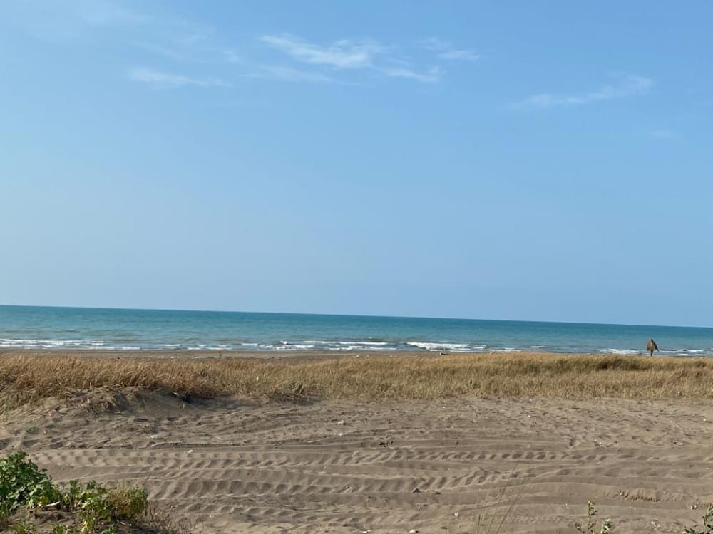 فروش زمین ۷۰۰۰هزار هکتار  بی نظیر   نرسیده به شهرک برند خانه دریا