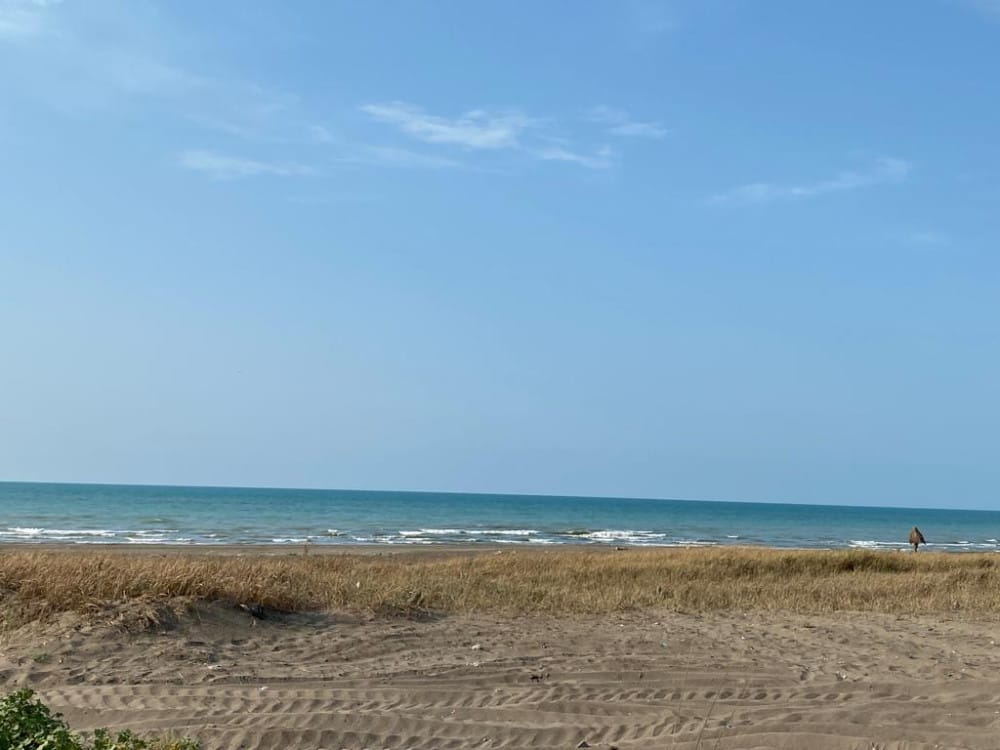 فروش زمین ۷۰۰۰هزار هکتار  بی نظیر   نرسیده به شهرک برند خانه دریا