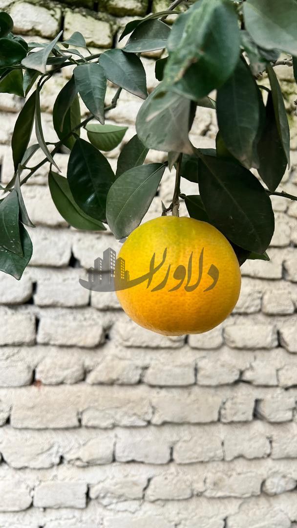 زمین چسبیده به بافت در امیرآباد