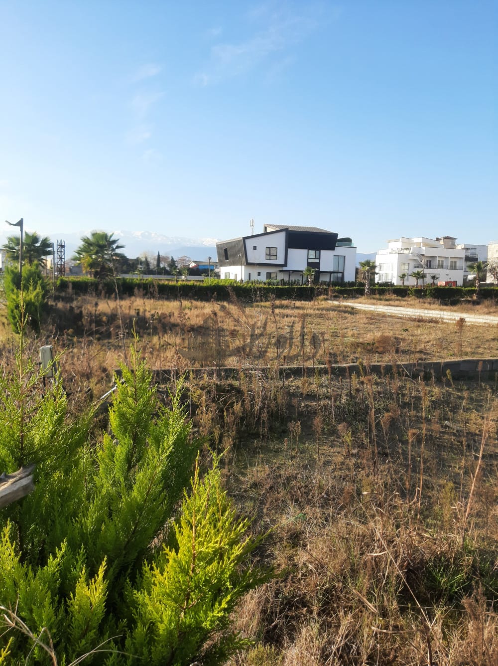 زمین در شهرک ساحلی با شرایط ویژه فروش سال