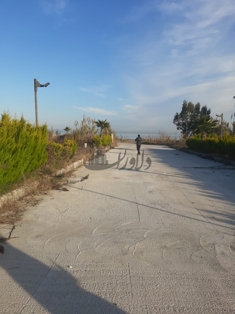 زمین در شهرک ساحلی با شرایط ویژه فروش سال