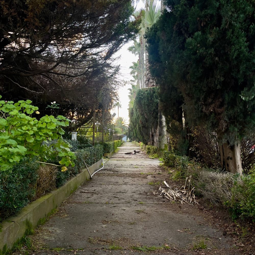 ویلای شهرکی برند با ماشاعات عالی