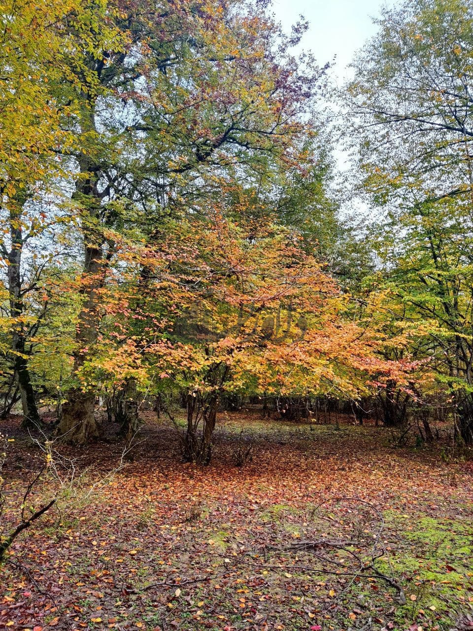 فروش ویلا  دوبلکس شهرکی