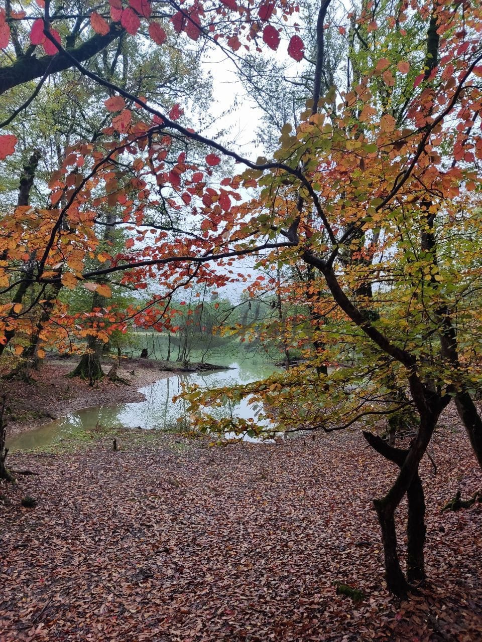 فروش ویلا  دوبلکس شهرکی