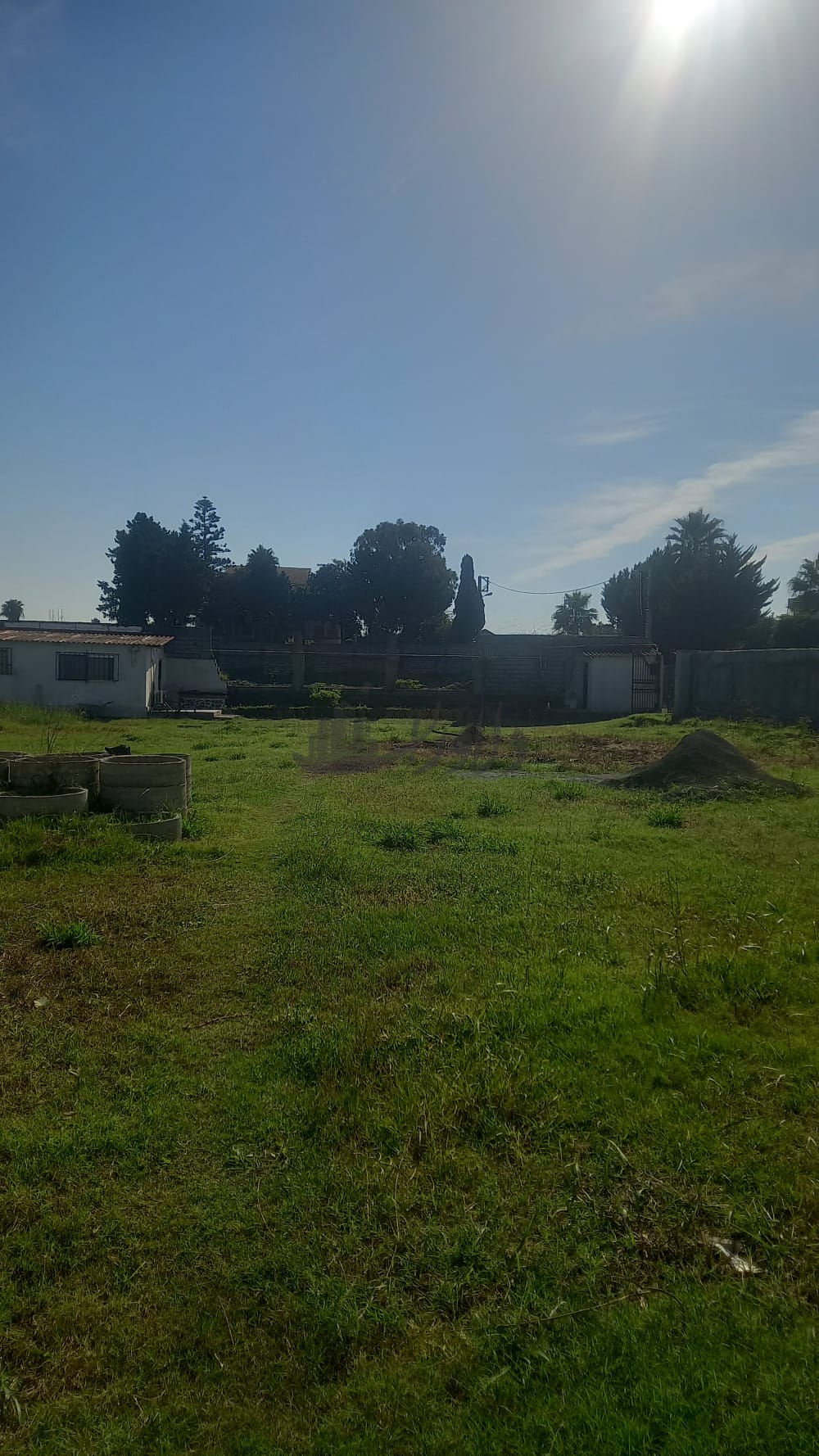 فروش زمین جنگلی