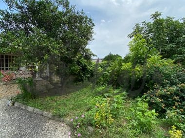 ویلا باغ جنگلی 500 متری سند دار