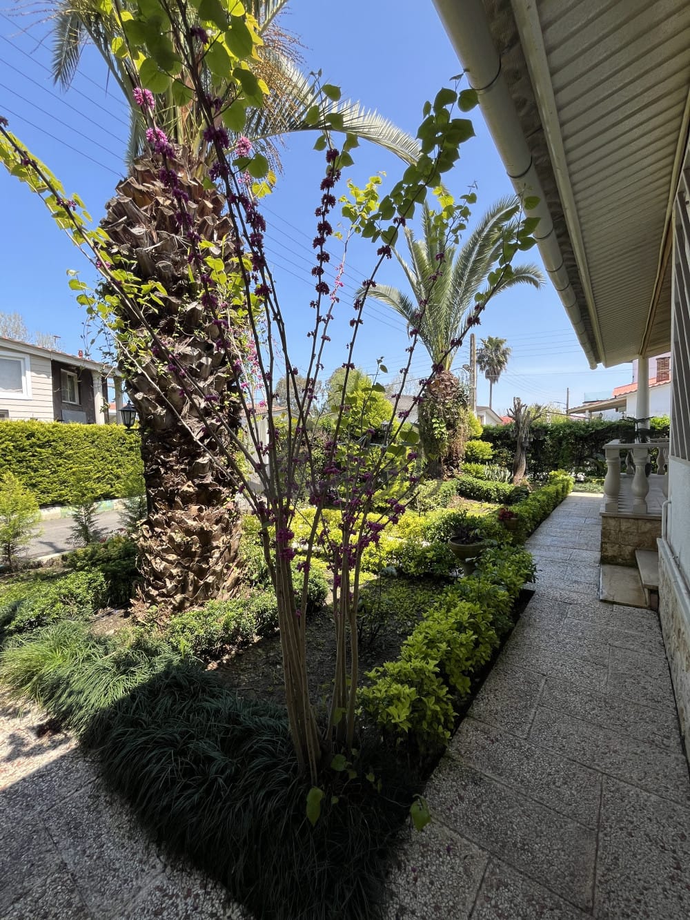 ویلا به قیمت شهرکی ایزدشهر