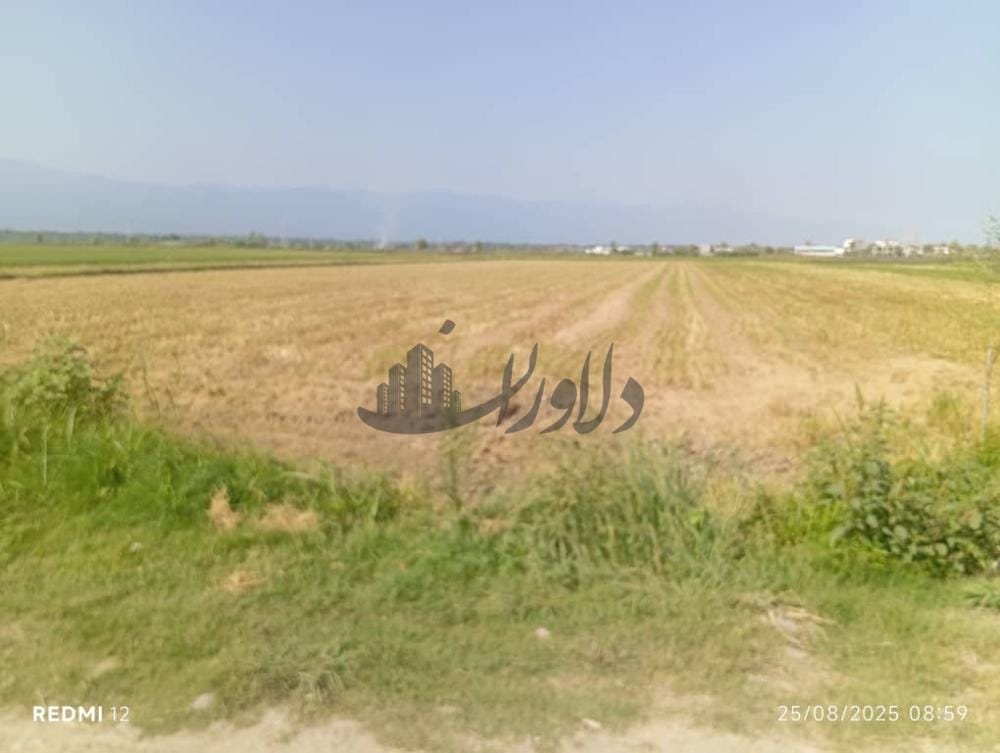 فروش زمین ۴۰۰۰هزار متری در ایزدشهر