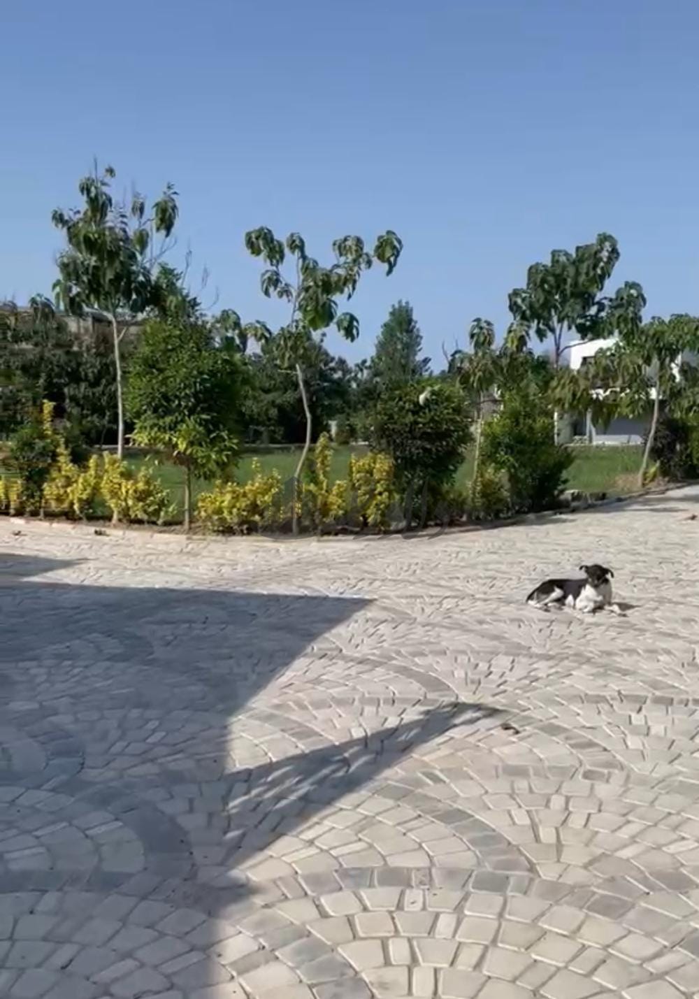 🏡 فروش زمین شهرکی