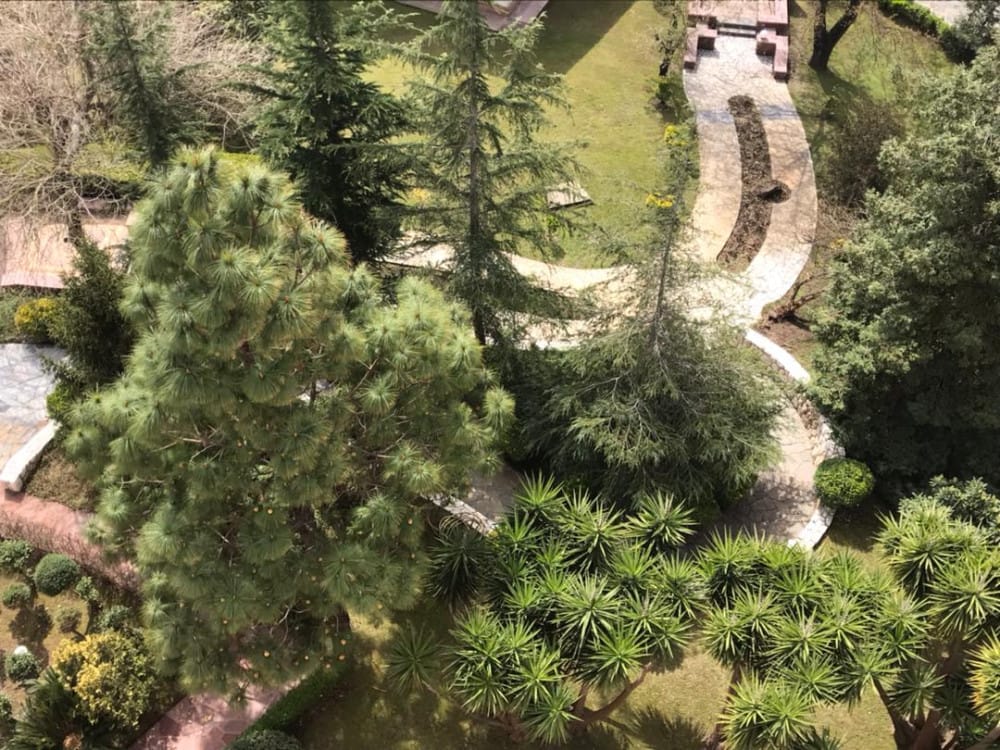 آپارتمان شهرک برند ساحلی