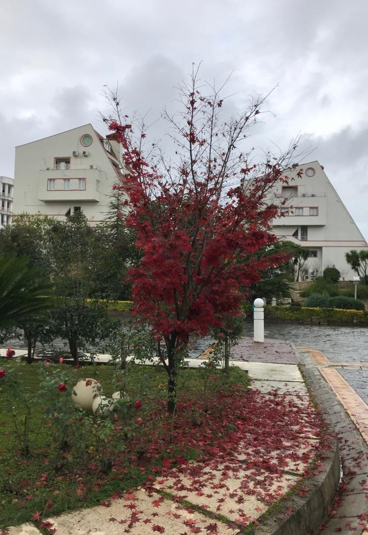 آپارتمان شهرک برند ساحلی