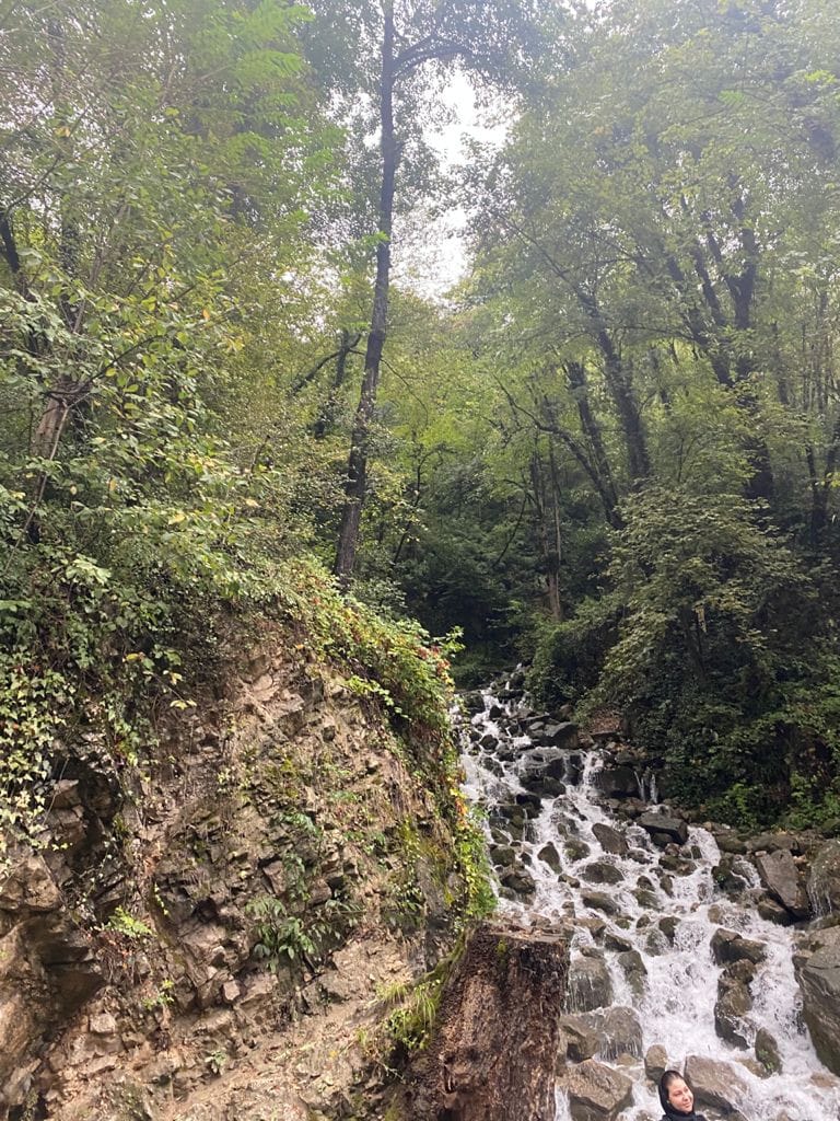 زمین جنگلی ییلاقی منطقه خوش اب و هوای اب پری