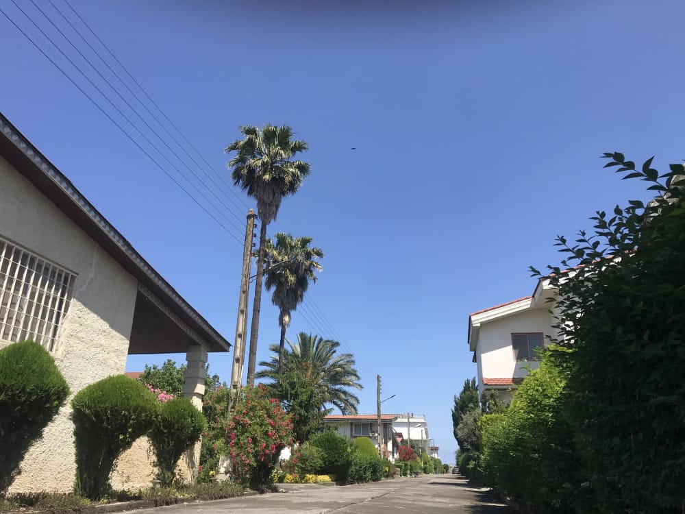 زمین ساحلی
