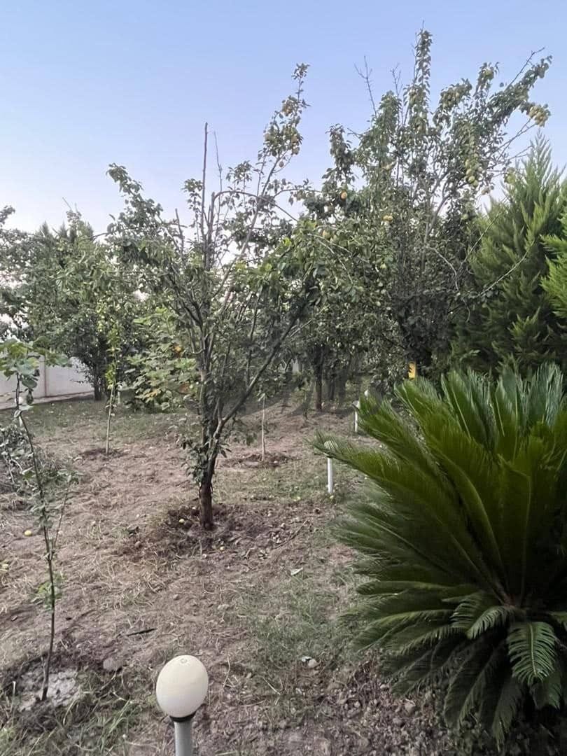 ویلا  باغ 1300 متری برای فروش با باغ مرکبات چاه آب