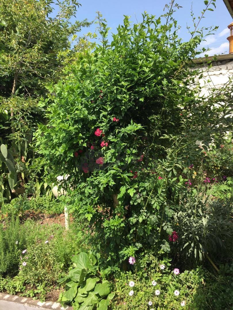 🏡 ویلای دوخوابه مبله، دربست و آماده سکونت 🏡 ویلای دوخوابه مبله، دربست و آماده سکونت