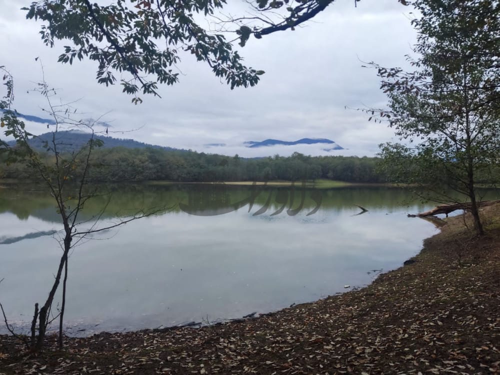 فروش ویلا دوبلکس شهرکی جنگلی فروش ویلا دوبلکس شهرکی جنگلی