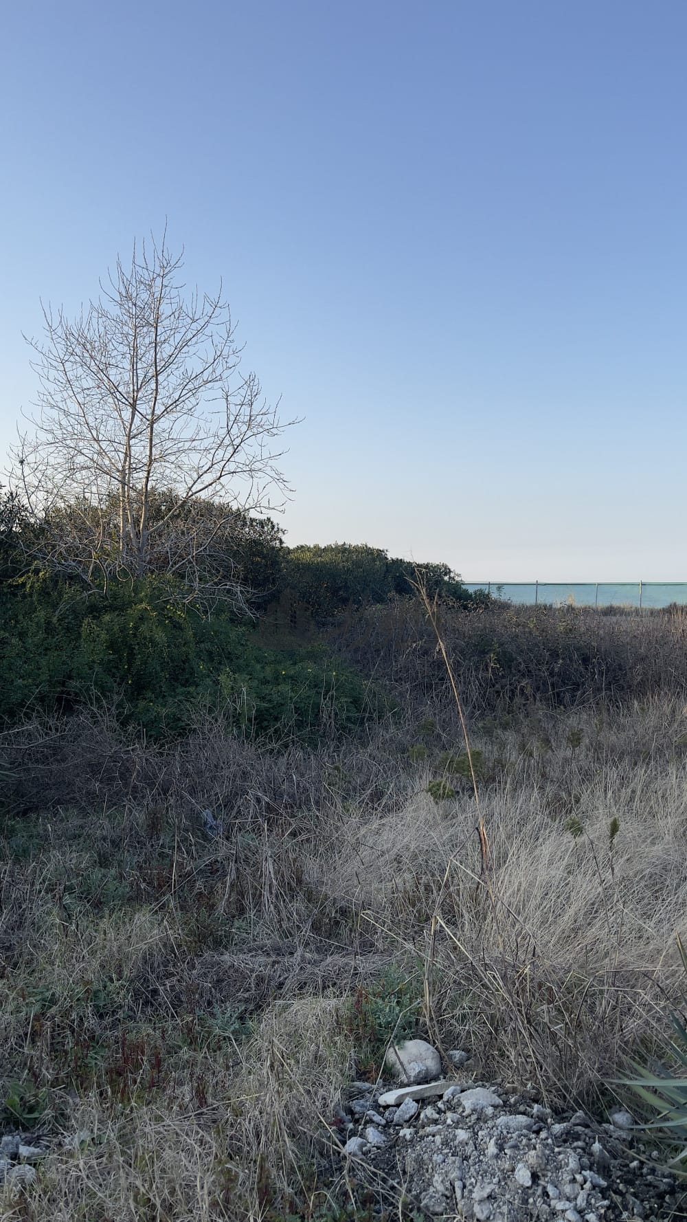 فروش زمین پلاک اول دریا شهرک ساحلی ۵۸۰متری در ایزدشهر فروش زمین پلاک اول دریا شهرک ساحلی ۵۸۰متری در ایزدشهر