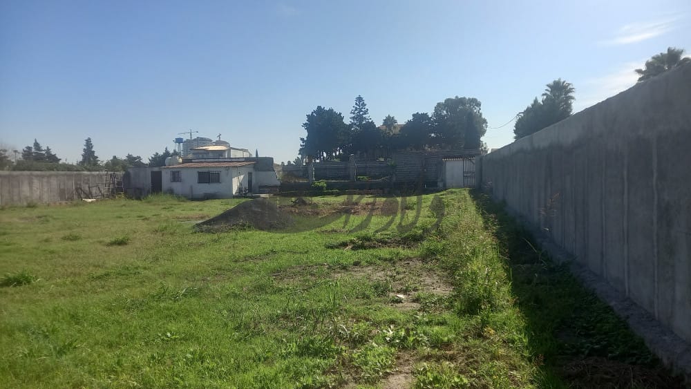 زمین فروشی در چمستان در بهترین منطقه زمین فروشی در چمستان در بهترین منطقه